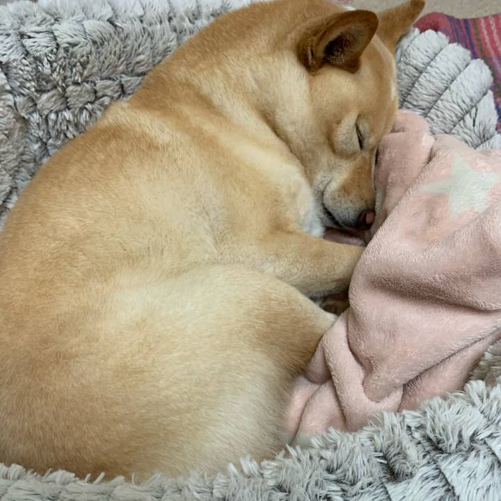 A1ba8d87 9880 4027 a921 f74a0ce566fc 1642077094060