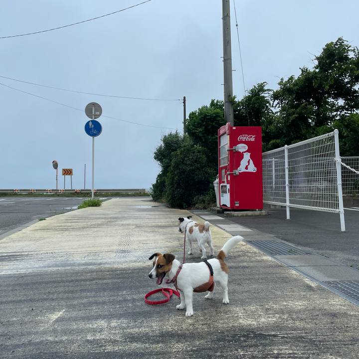 A1baaeda 5da6 4e9e 9622 f8f051c7ba56 1625612783505