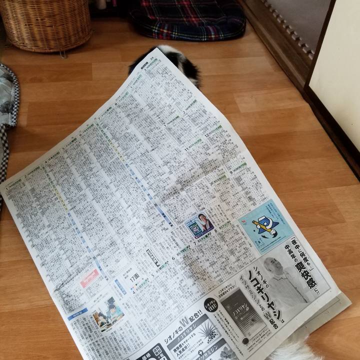 A1bab4d0 69b1 4e47 a2d2 d4136e605fb2 1571743001907