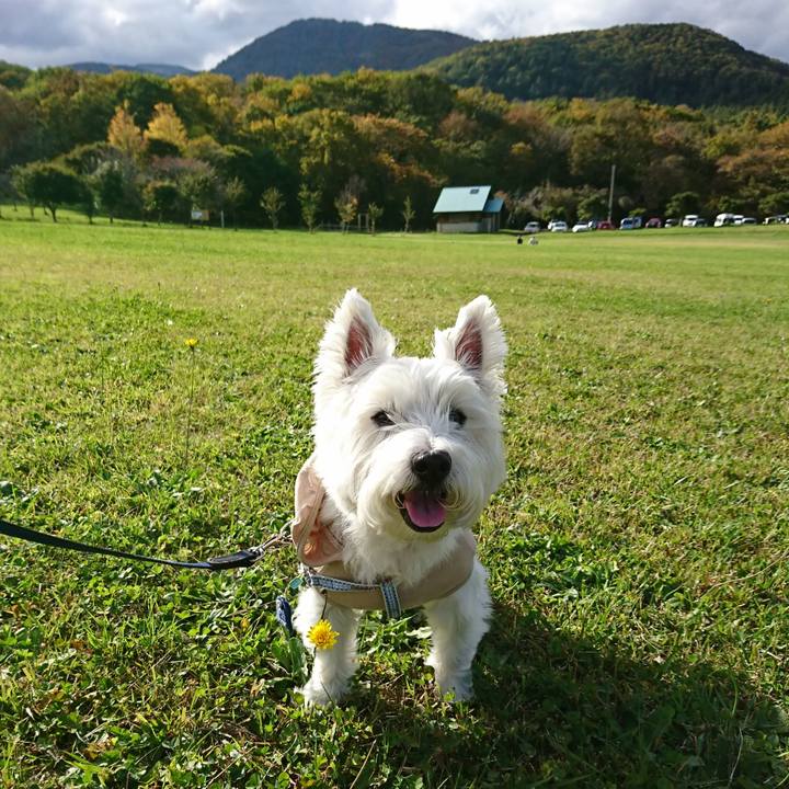 A1baba86 9fa8 492b a247 7cf5c34ebb8b 1539698567671