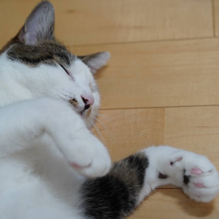 A1babcba f6c4 4b52 b665 47e048fb212d 1567035898882