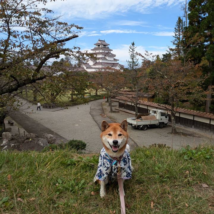 A1badcb2 dc88 49cb beb1 3b0c4bb284b1 1730458960007