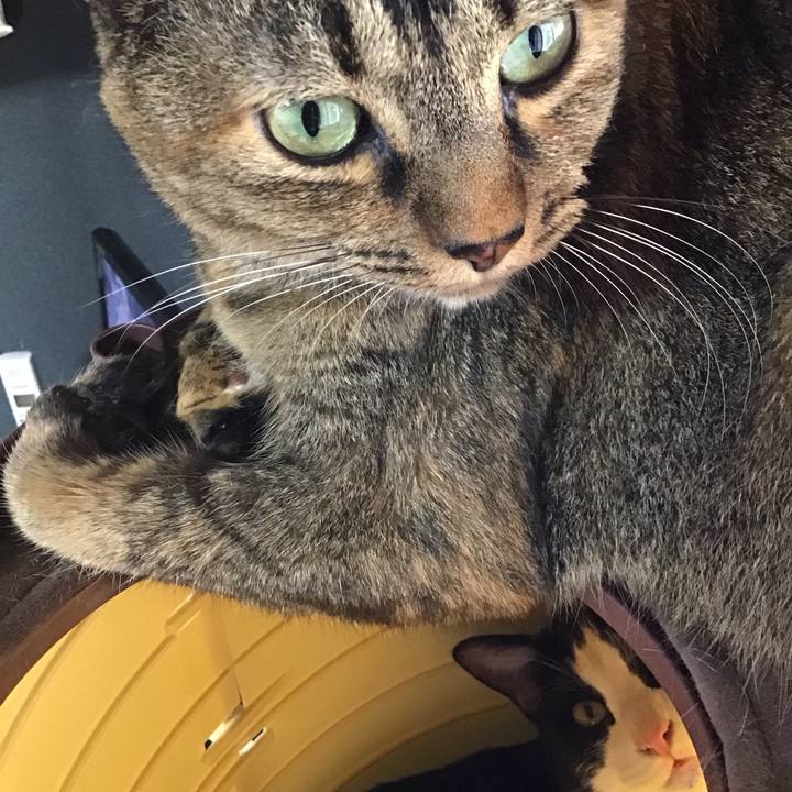 A1baec64 b803 4677 b8a2 ff34c7438f76 1662806049018