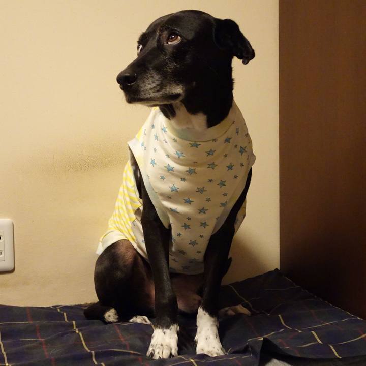 A1baf74a 7c8a 452c 8d08 a0c0f5256753 1731842045490