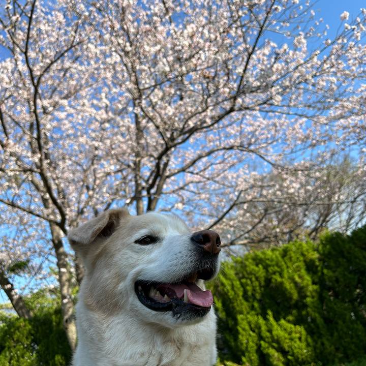 A1bb42a4 c46c 40ff ab3a feeb45c643d7 1680407623587