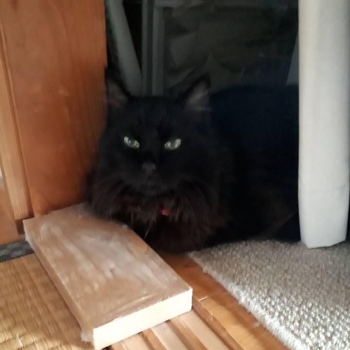 A1bb4e02 9ebd 46ff b7ed 8b119e949c5a 1532899996545