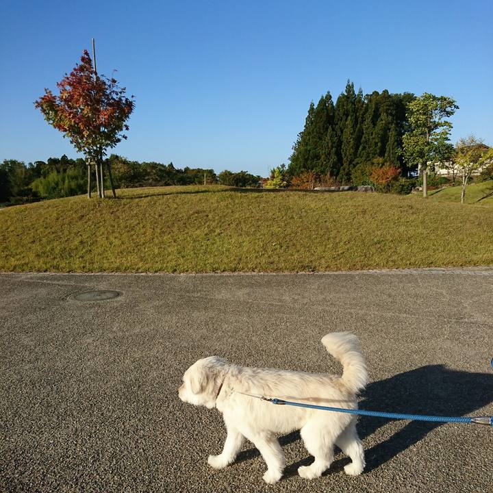 A1bb56c5 5f90 4ea3 b731 aa38d07e3c40 1570958348474