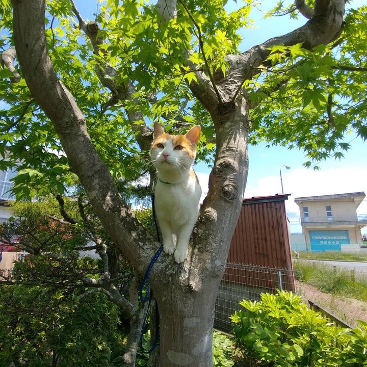 A1bb589f 9606 4914 9dfd c967ae9b2e31 1527396115388