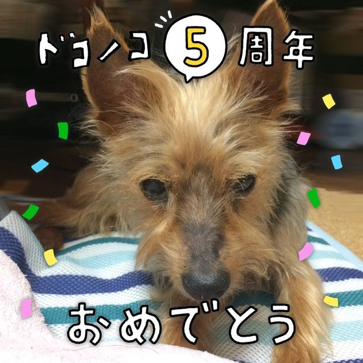 A1bb6d9b 3587 4d22 81f9 caf58d914630 1622855643301