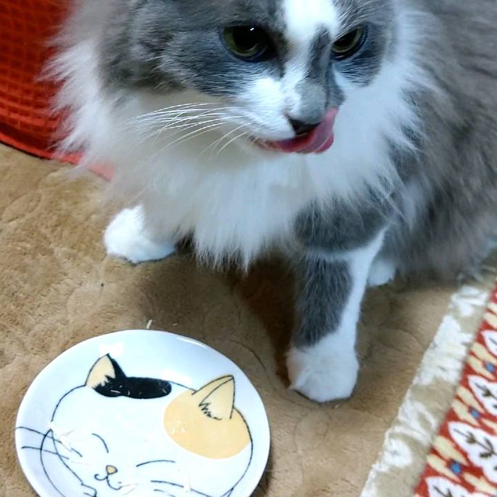 A1bb71e2 f54f 4d01 809a 6e60d8869702 1583320419999