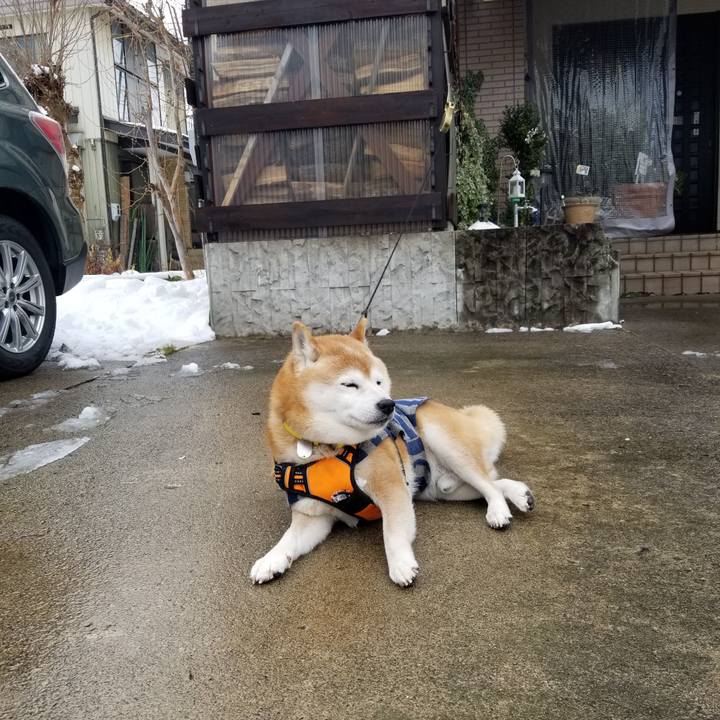 A1bb8493 9376 4de6 a303 f101d3d02f76 1671942995263