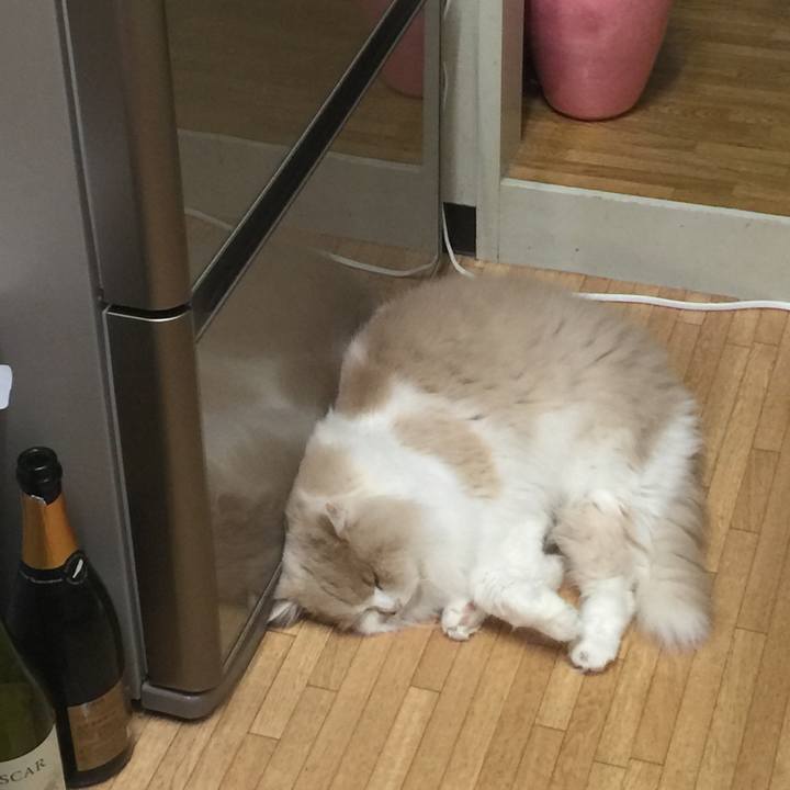 A1bbe0bc 84ca 45e4 81f8 e5320accc4e3 1514458262040