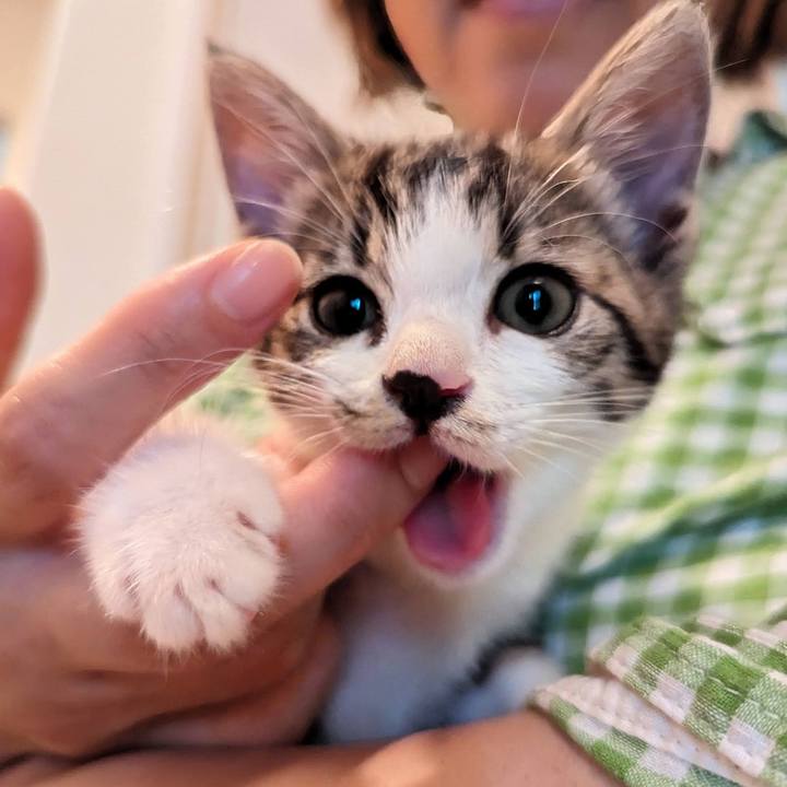 A1bc5ceb bd79 4219 8bca 77f2cde17af9 1718599206324