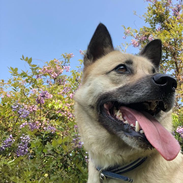 A1bc9765 b388 4c72 9f17 983f87042082 1555761093196