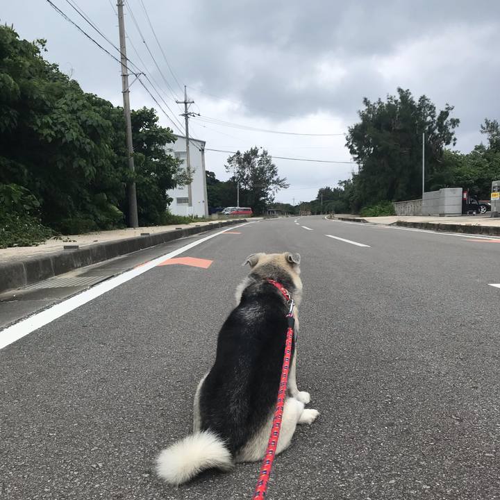 A1bcfa84 2899 4dc1 b0e9 68d64b2f71b7 1588902433239