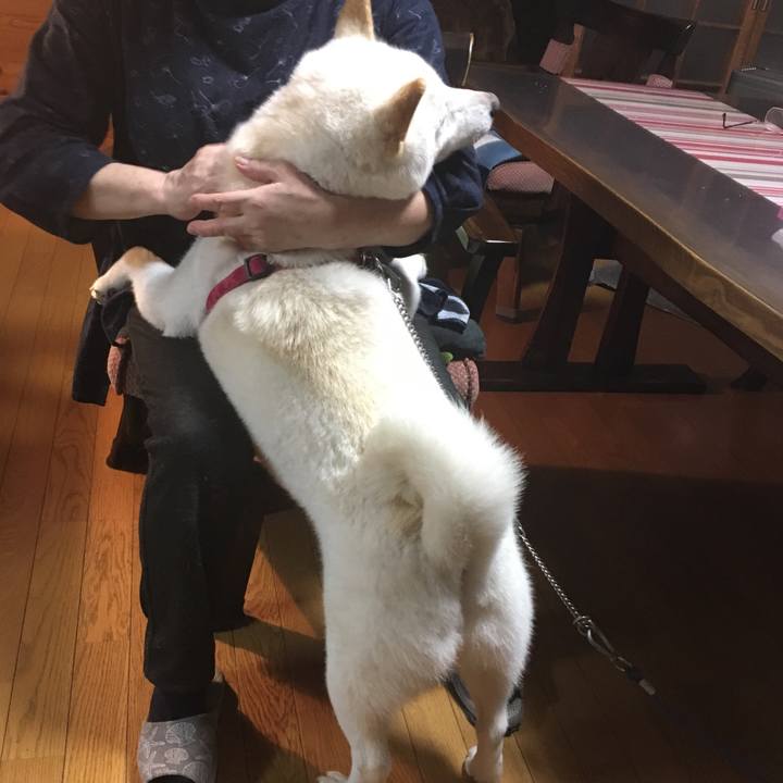 A1bd0a55 097e 4725 9293 d9958a14ba3b 1541669820193