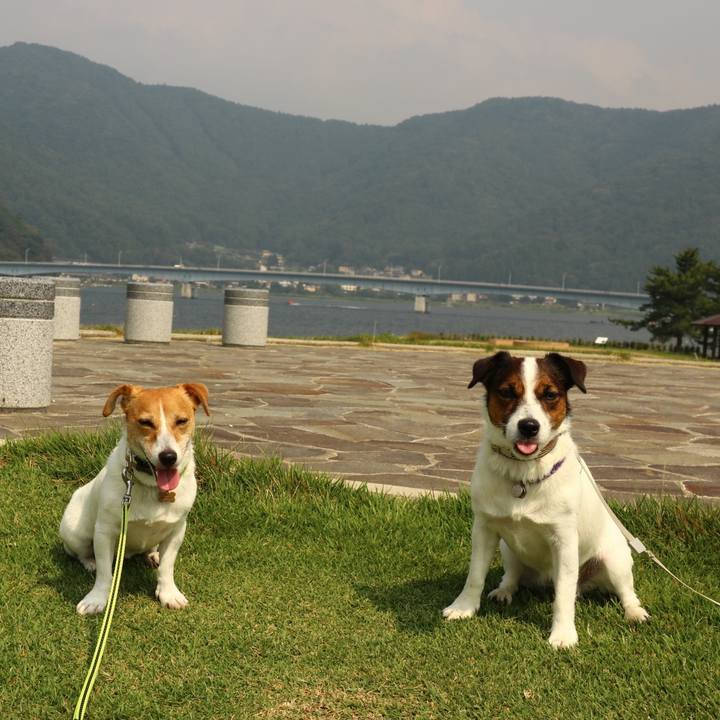 A1bd57af 91d7 4f8d 91f8 8bb6352fc2ef 1596880867396