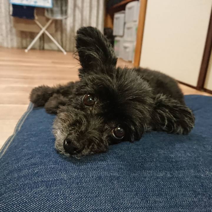 A1bd7165 11b6 4865 a5dc 6aa4402a0ca6 1565306360802