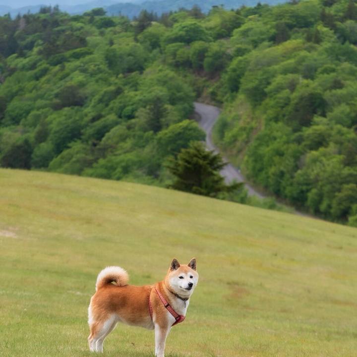 A1bdb66c 071c 47e5 8229 e1102d152186 1559441166627