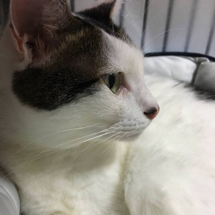 A1bdc15e 1fa5 4e49 98b0 a2984850a73d 1538302668314