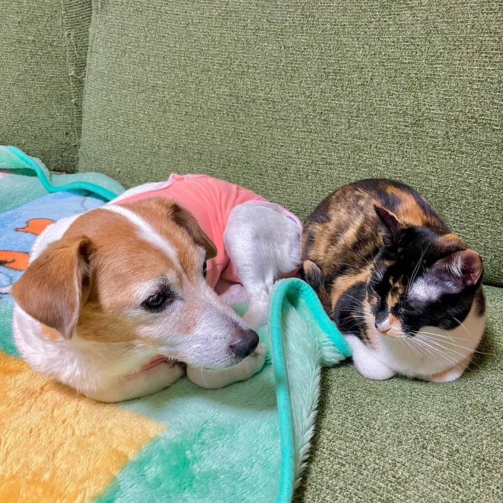 A1bdc5cf 655e 458f 833e ed26dab17e8f 1702380230544