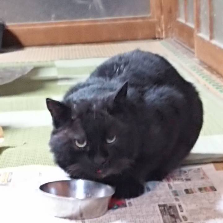 A1bde787 3f50 4ea8 a253 de366513f021 1615028271719