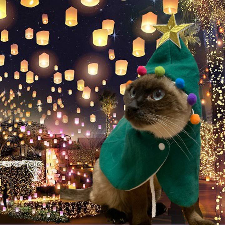 A1be3868 dc24 46f3 9607 9ff74098d1b8 1607956595435