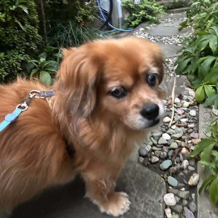 A1be3963 a0f2 4293 beff 97ccba7fb6da 1730444486750