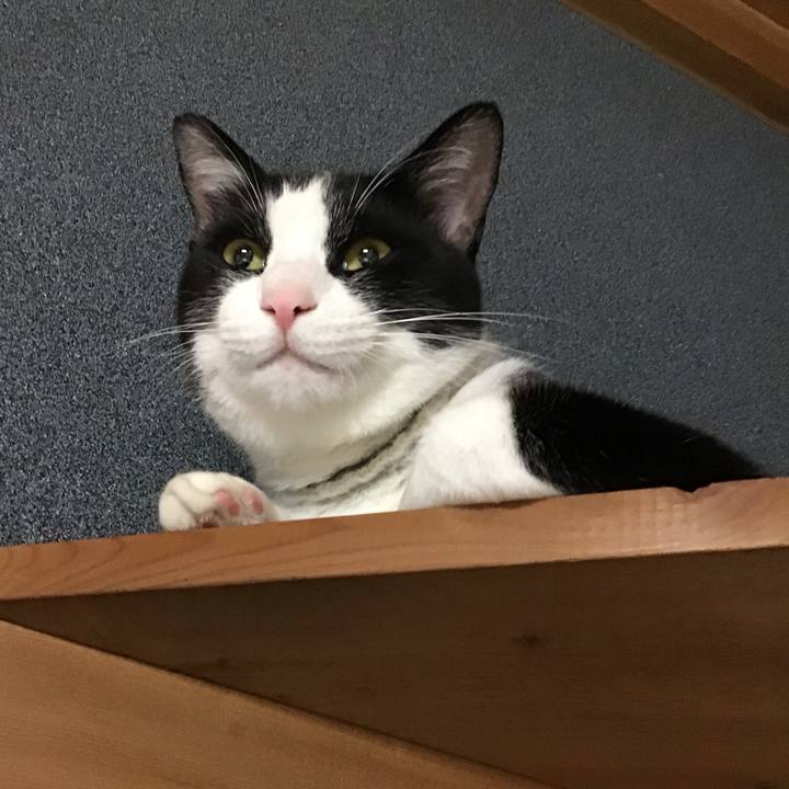 A1be50b8 4c8d 4876 807e edba52622501 1656242808645