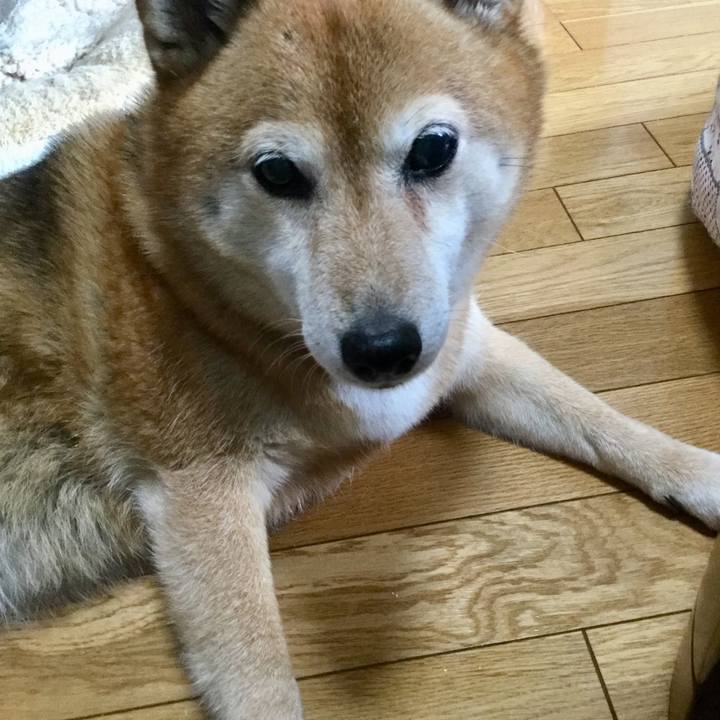 A1be93b4 9e07 46bf 8044 a0af91bf9f31 1624678557106