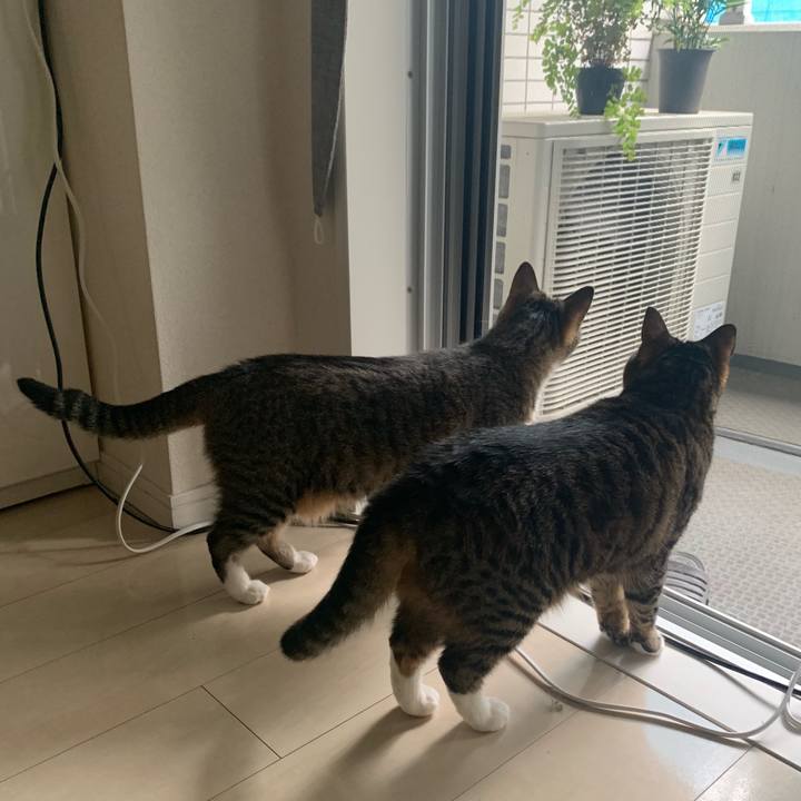 A1bea558 a417 4c27 be18 43d445326c7c 1594129477705