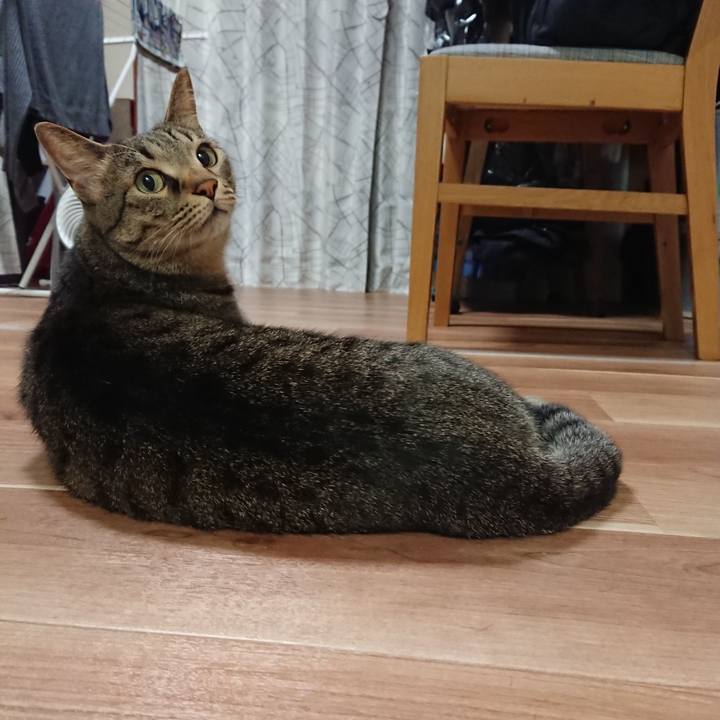 A1beaf2b 6243 4743 bbbe 3813bdc19c24 1522241841147