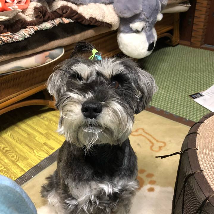 A1bef1dd 0338 4b4b a968 24addcd3b609 1519487771383