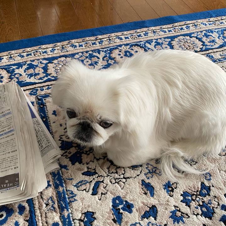 A1befea6 f1c4 4963 aade 50b1862bce55 1611628999840