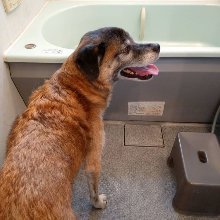 A1bf00ca c537 4b32 858f c90ceb900973 1535680509306