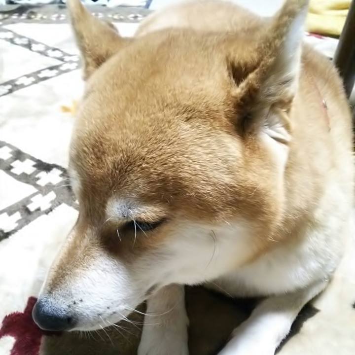 A1bf3fb9 5b78 457d a6d6 a87c35e2e10f 1510743765591