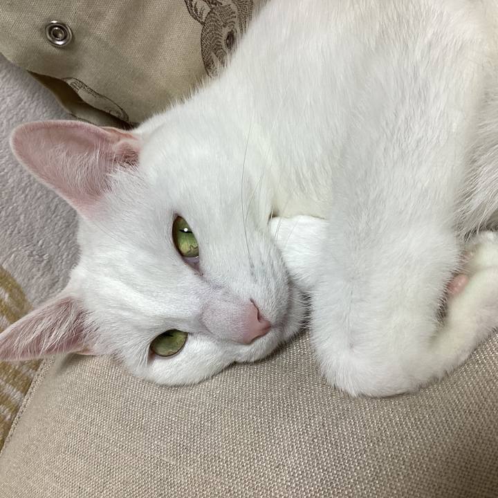 A1bf40bc 1a0a 4097 817d ee67fa010008 1698664867056