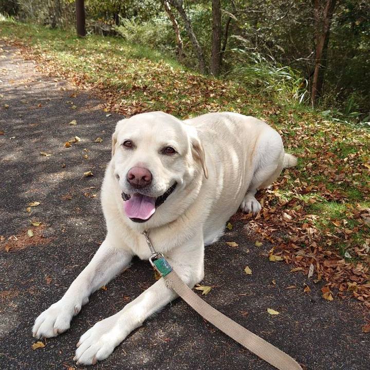 A1bf4b5a 32d9 4d84 bf32 5b44ff1e0331 1664855059826