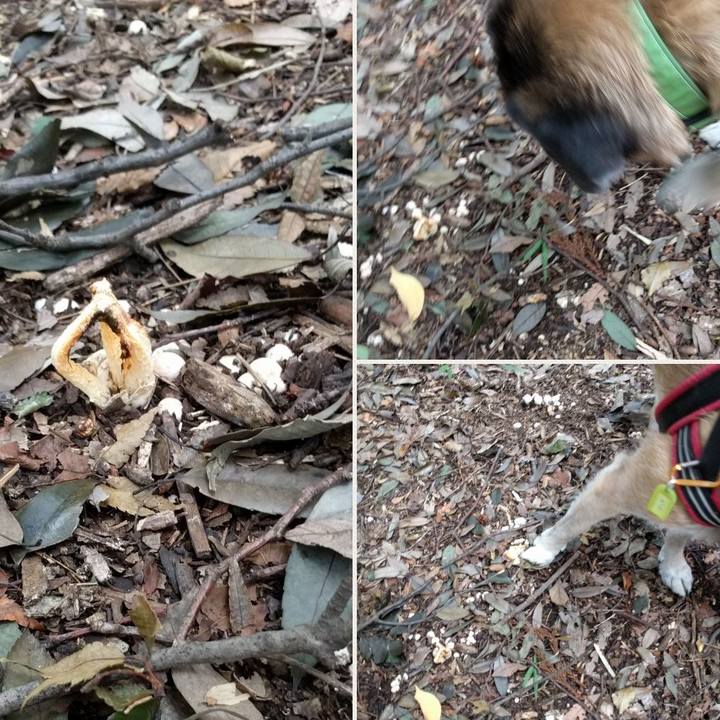 A1bf548e f15d 4f03 bb4b 5c27e9a62714 1536799584542