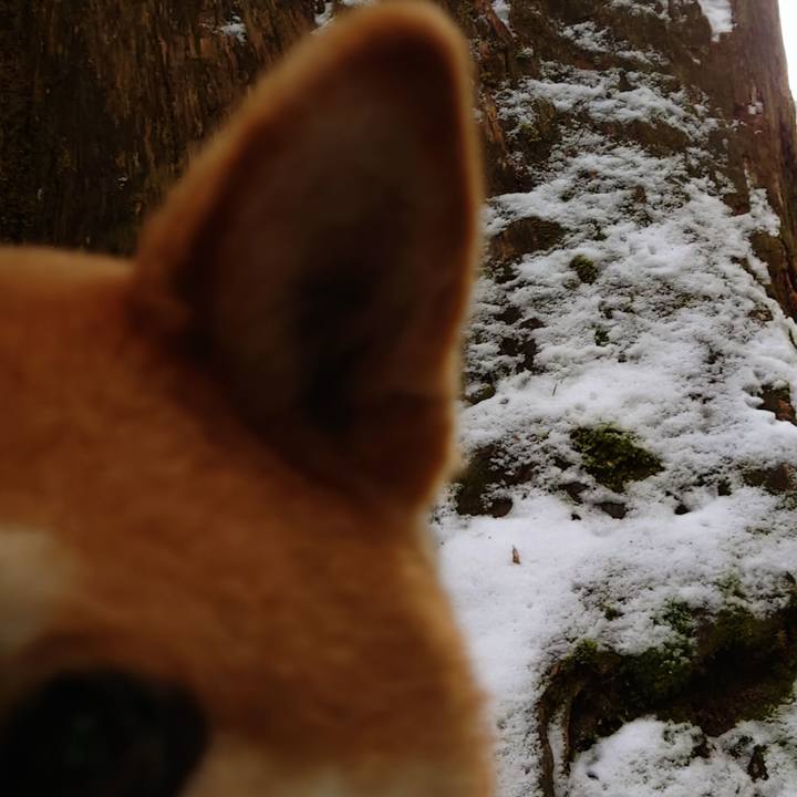 A1bf9e13 9484 4bf4 a808 7222426bb5a7 1767080295330