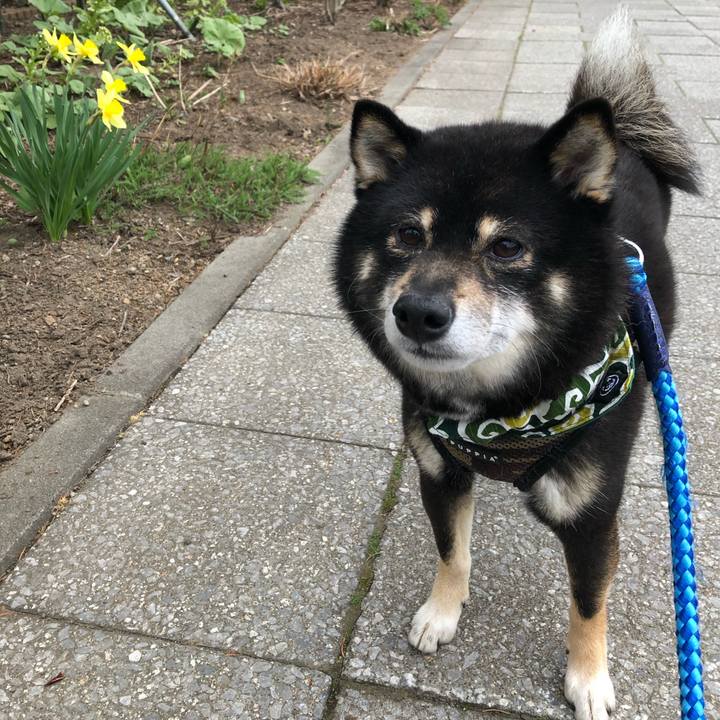 A1bfa56a 791b 4fa6 9d31 0fe314e128d6 1556618628739