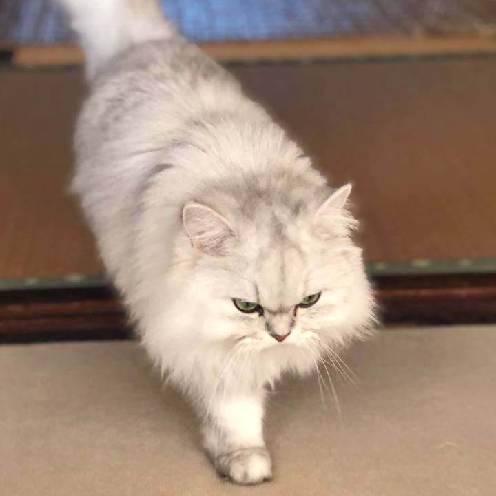 A1bfa574 6e45 47d3 9e4a fe875fbfd4a8 1572853099319