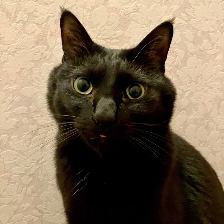 A1bfbf40 5fbf 4fe9 9a96 fb81689118db 1743259222820