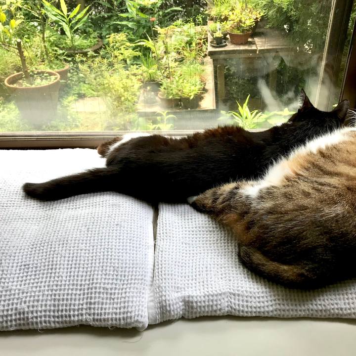 A1c0406f 5e45 4d1a 9629 35646518cbe1 1529635617359