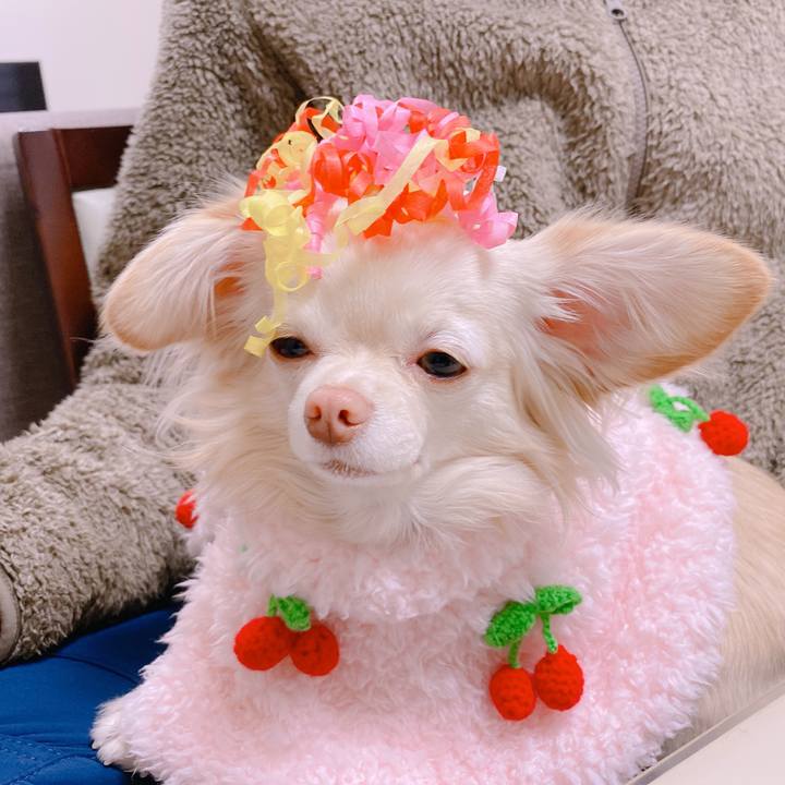 A1c05419 11f3 4d50 9394 c1d64a4595ae 1643606101553