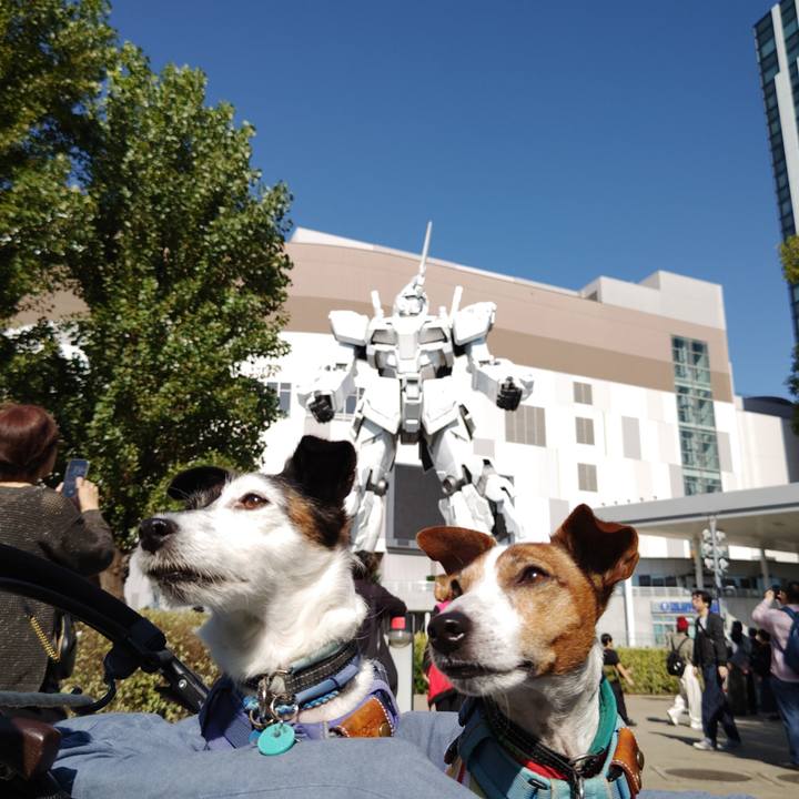 A1c08751 c8d8 4bb1 9702 688a2f7e904c 1730699926645