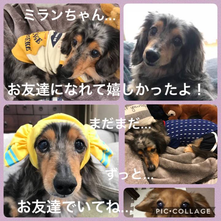 A1c0b50d 2b16 4f64 8325 fff8dc6dac70 1587558948843