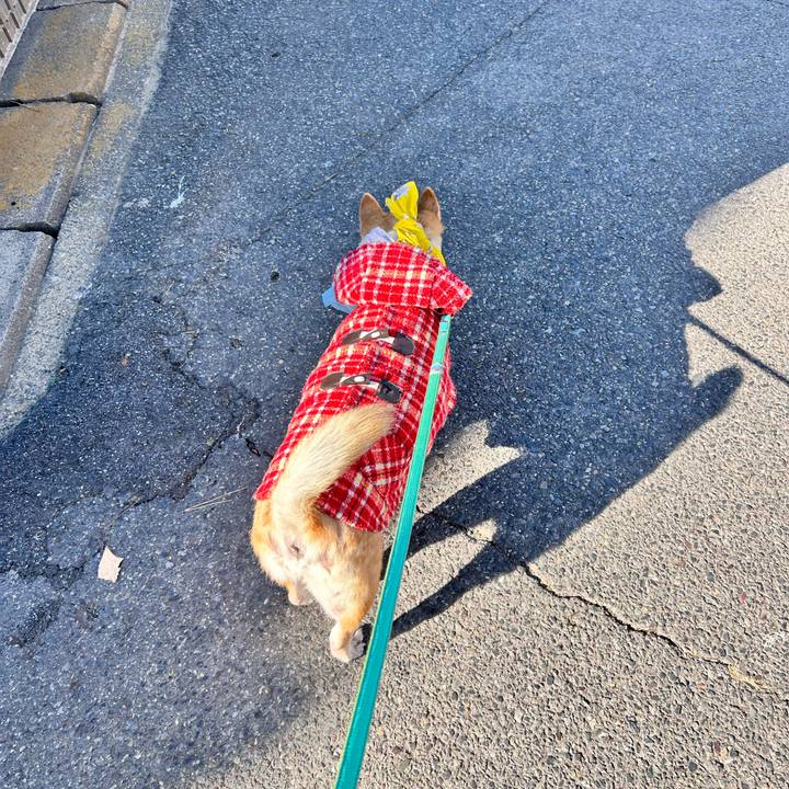 A1c0b94c b8d1 4e26 b135 fbdf0a1e139c 1765073203894