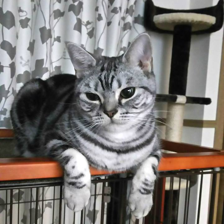 A1c0d81e e0c1 406c 9c8f c2ed633e68aa 1606294872471