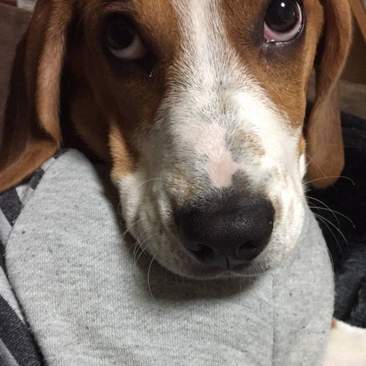 A1c0dc5d fcd6 44d3 acdb a70d3f2e1d34 1519225362631